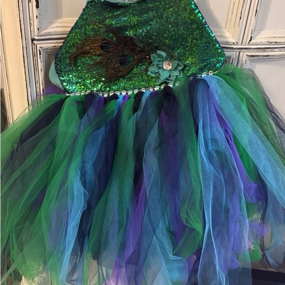 Vibrant Kids Dance Costume with Peacock Colors - Picture 4 of 5